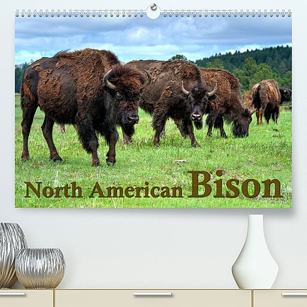 North American Bison (Premium, hochwertiger DIN A2 Wandkalender 2023, Kunstdruck in Hochglanz), Dieter Wilczek