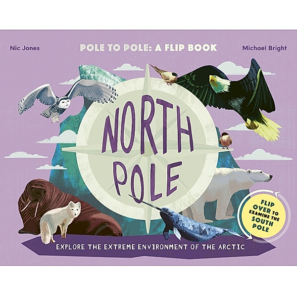 North Pole / South Pole, Michael Bright