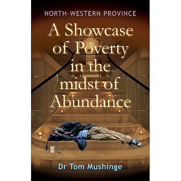 North-Western Province a Showcase of Poverty in the Midst of Abundance, Tom Mushinge