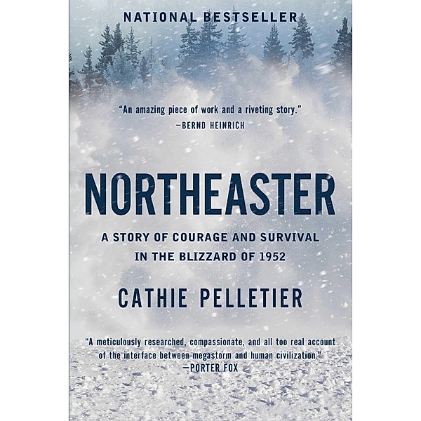Northeaster, Cathie Pelletier