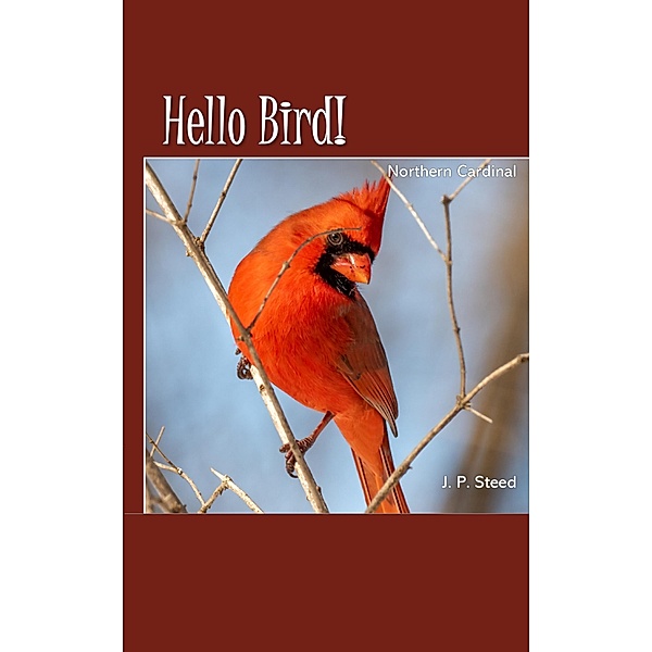 Northern Cardinal (Hello Bird!) / Hello Bird!, J. P. Steed