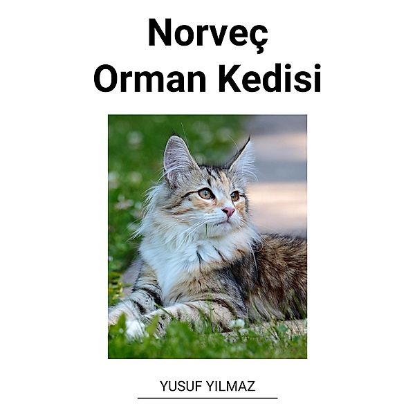 Norveç Orman Kedisi, Yusuf Yilmaz