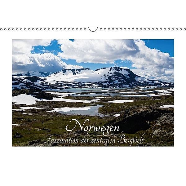 Norwegen, Faszination der zentralen Bergwelt (Wandkalender 2017 DIN A3 quer), Margitta Hild