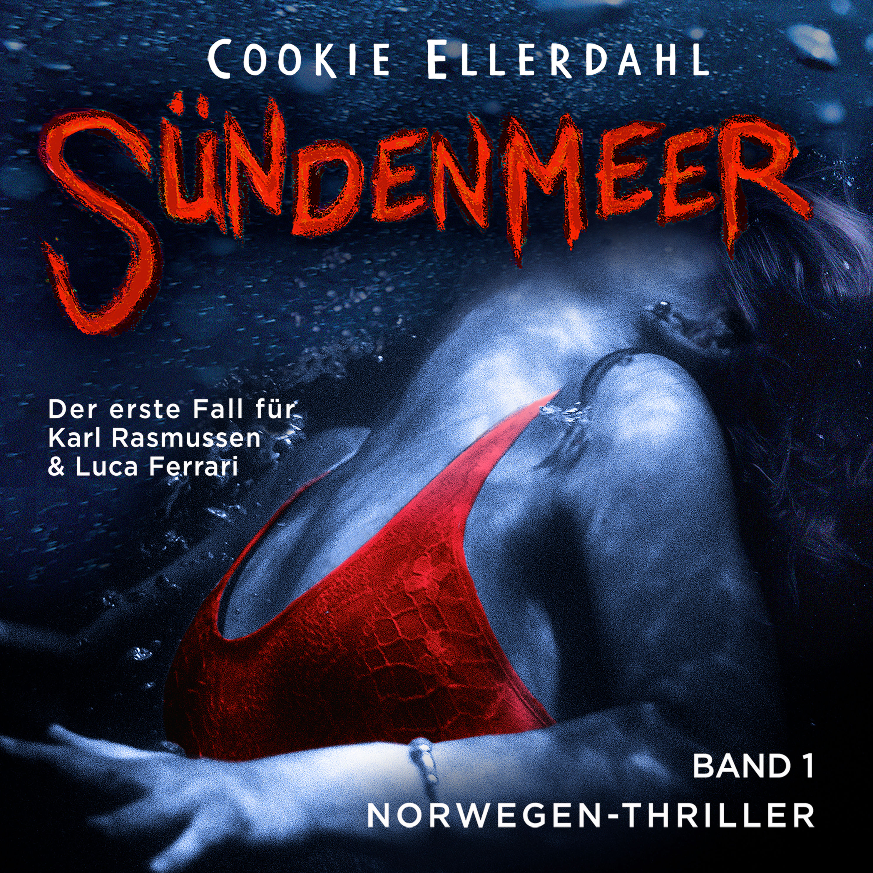 Norwegen-Thriller - 1 - Sündenmeer Hörbuch Download | Weltbild