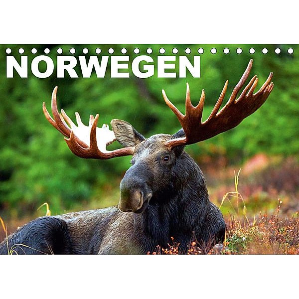 Norwegen (Tischkalender 2019 DIN A5 quer), Elisabeth Stanzer