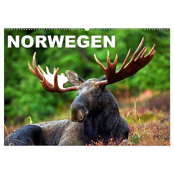 Norwegen (Wandkalender 2024 DIN A2 quer), CALVENDO Monatskalender, Elisabeth Stanzer