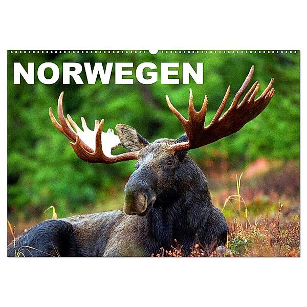Norwegen (Wandkalender 2025 DIN A2 quer), CALVENDO Monatskalender, Calvendo, Elisabeth Stanzer