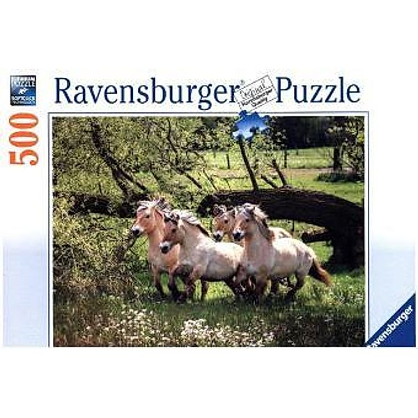 Norwegische Fjordpferde (Puzzle)