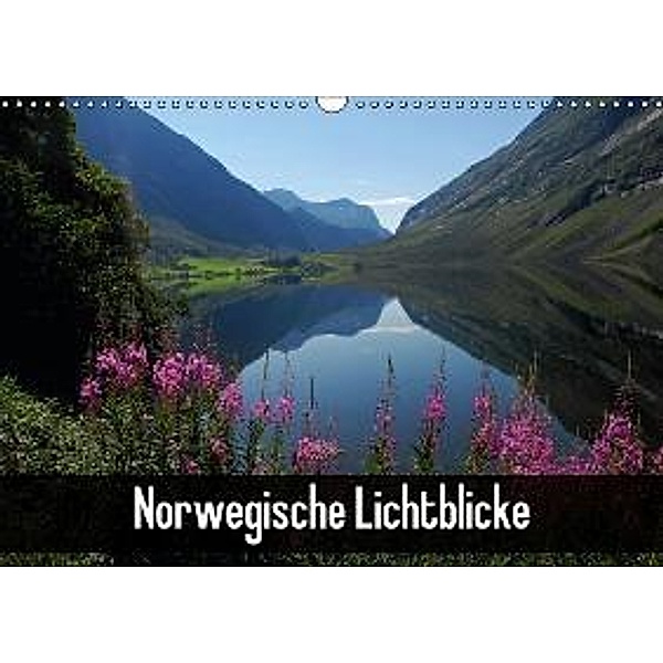 Norwegische Lichtblicke (Wandkalender 2015 DIN A3 quer), Andrea Pons