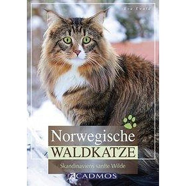 Norwegische Waldkatze, Eva Ewald