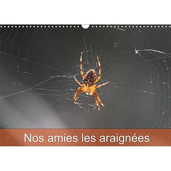 Nos amies les araignées (Calendrier mural 2023 DIN A3 horizontal), Martine Julien