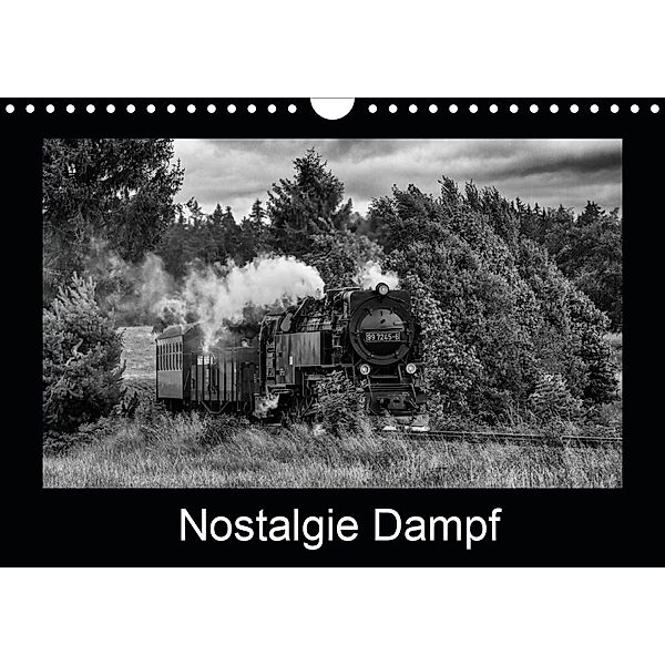 Nostalgie Dampf (Wandkalender 2021 DIN A4 quer), Marion Maurer