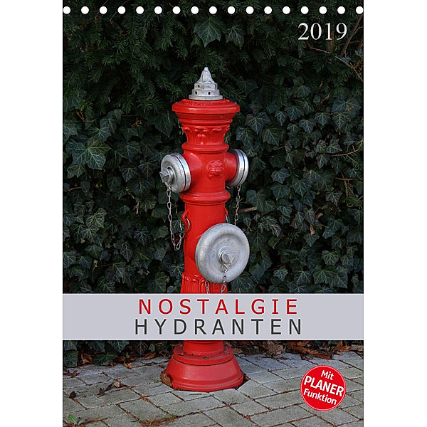 Nostalgie Hydranten (Tischkalender 2019 DIN A5 hoch), SchnelleWelten