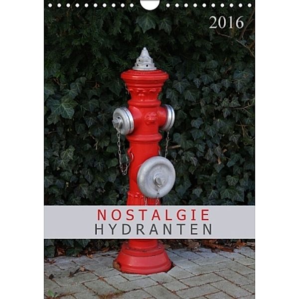 Nostalgie Hydranten (Wandkalender 2016 DIN A4 hoch), SchnelleWelten