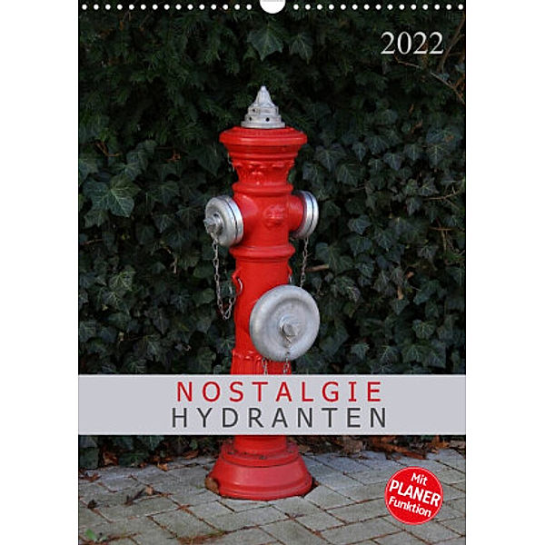 Nostalgie Hydranten (Wandkalender 2022 DIN A3 hoch), SchnelleWelten