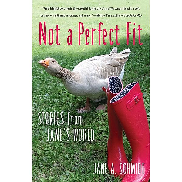 Not a Perfect Fit, Jane A. Schmidt
