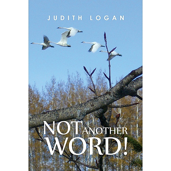 Not Another Word! / Austin Macauley Publishers, Judith Logan
