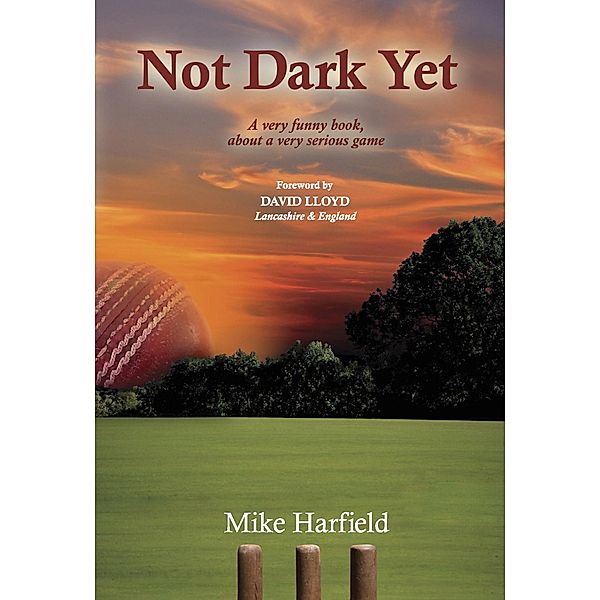 Not Dark Yet, Mike Harfield