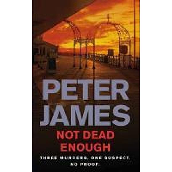 Not Dead Enough, Peter James