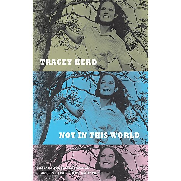 Not in This World, Tracey Herd