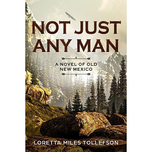 Not Just Any Man (Novels of Old New Mexico, #1) / Novels of Old New Mexico, Loretta Miles Tollefson