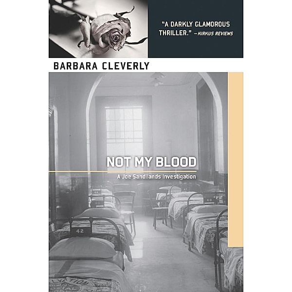 Not My Blood / A Detective Joe Sandilands Novel Bd.10, Barbara Cleverly