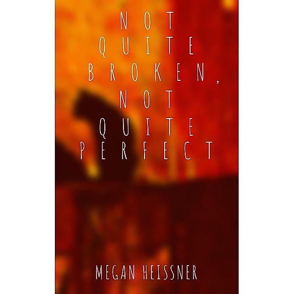 Not Quite Broken, Not Quite Perfect (The Amalgam Series, #2) / The Amalgam Series, Megan Heissner