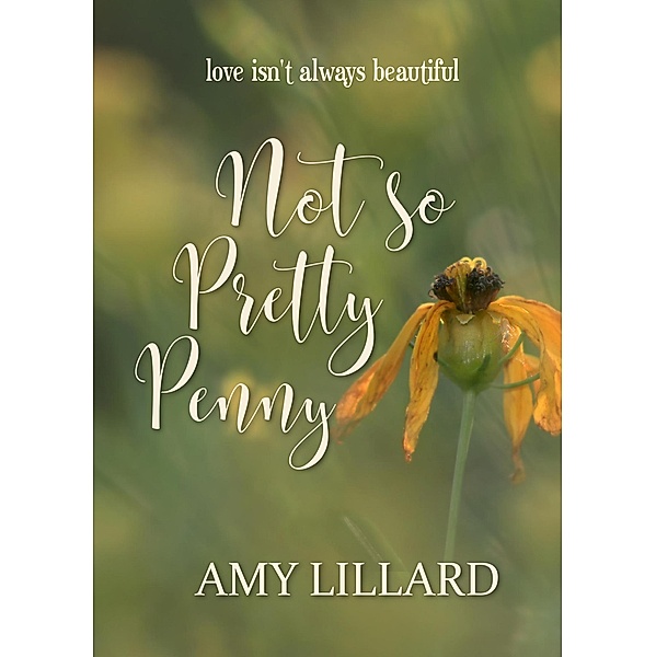 Not So Pretty Penny, Amy Lillard