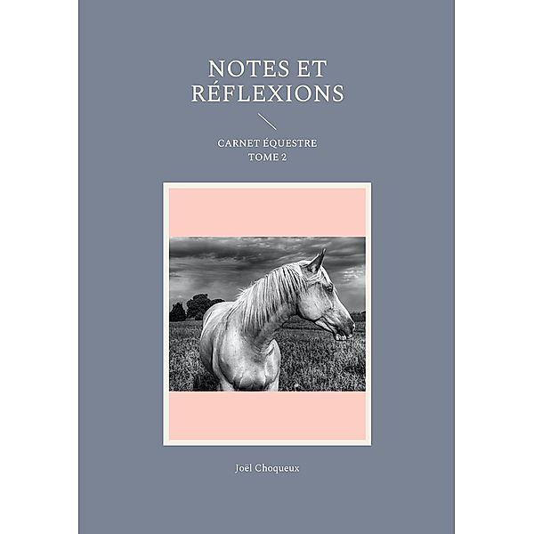 Notes et réflexions / NOTES ET RÉFLEXIONS Bd.2, Joël Choqueux