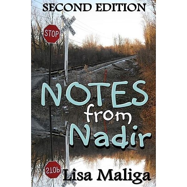 Notes from Nadir, Lisa Maliga