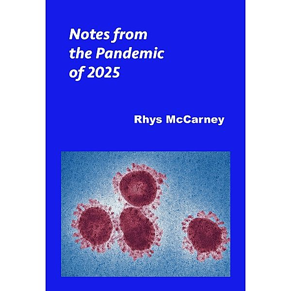 Notes from the Pandemic of 2025, Rhys McCarney