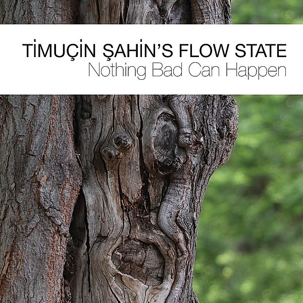 Nothing Bad Can Happen, Timucin Sahin's Flow Stat