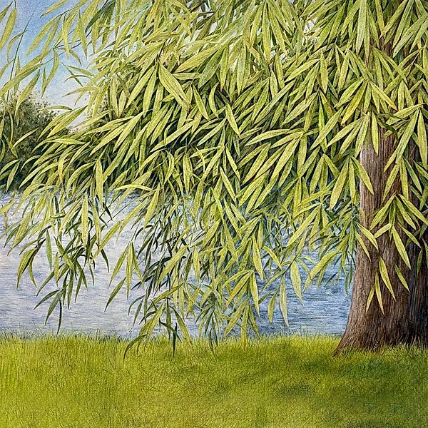 Nothing But Green Willow, Martin Simpson, Thomm Jutt