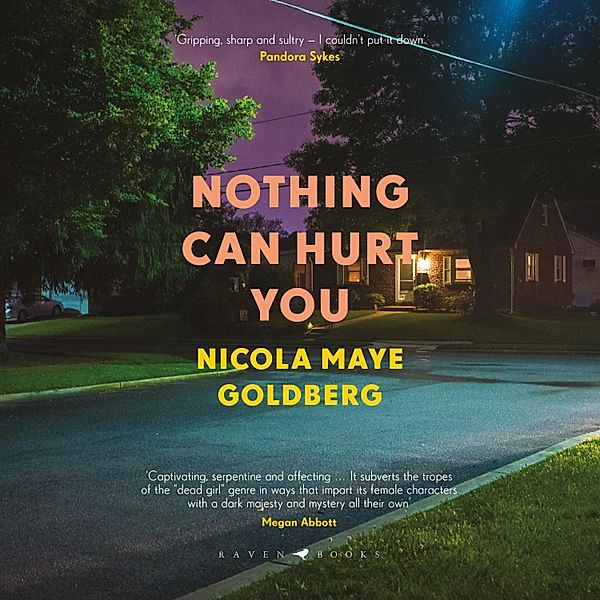 Nothing Can Hurt You, Nicola Maye Goldberg