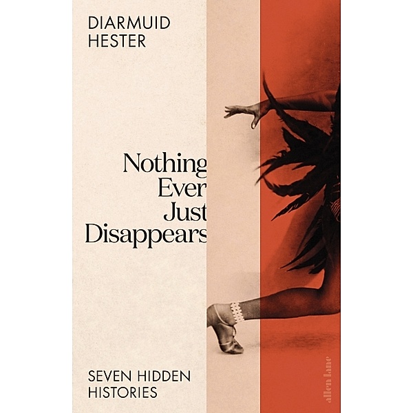 Nothing Ever Just Disappears, Diarmuid Hester