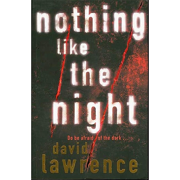 Nothing Like the Night / Detective Stella Mooney Novels Bd.2, David Lawrence