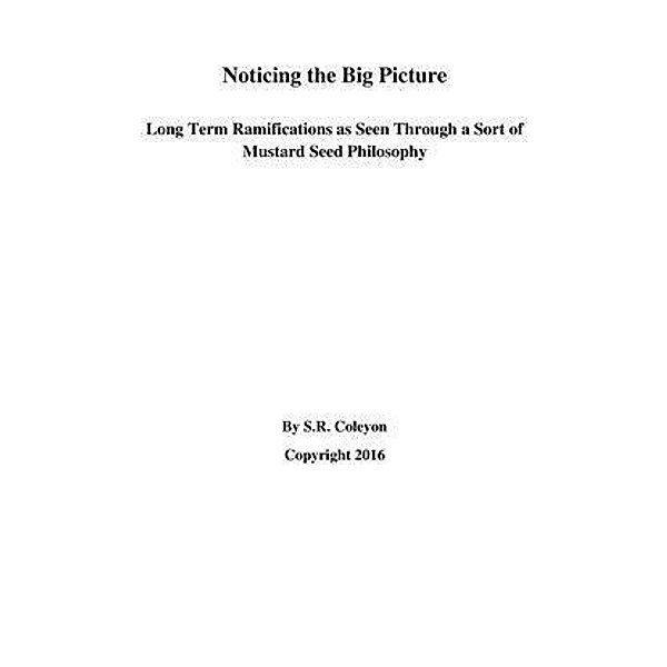 Noticing the Big Picture, S. R. Coleyon