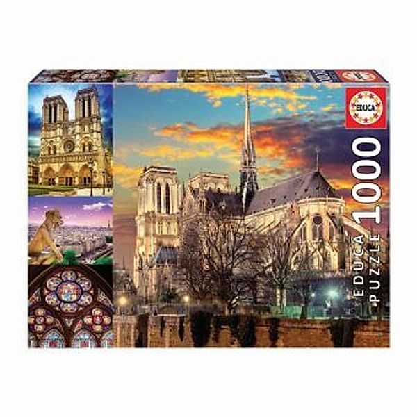 Notre Dame Collage (Puzzle)