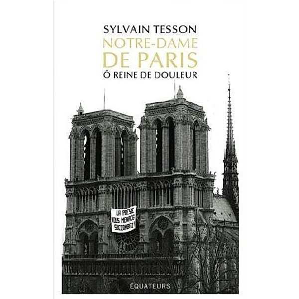 Notre-Dame de Paris, Sylvain Tesson