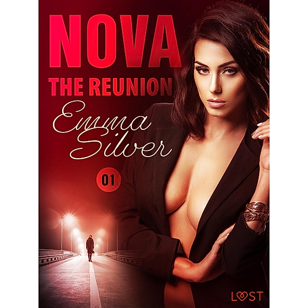 Nova 1: The Reunion - Erotic Short Story / Nova Bd.1, Emma Silver