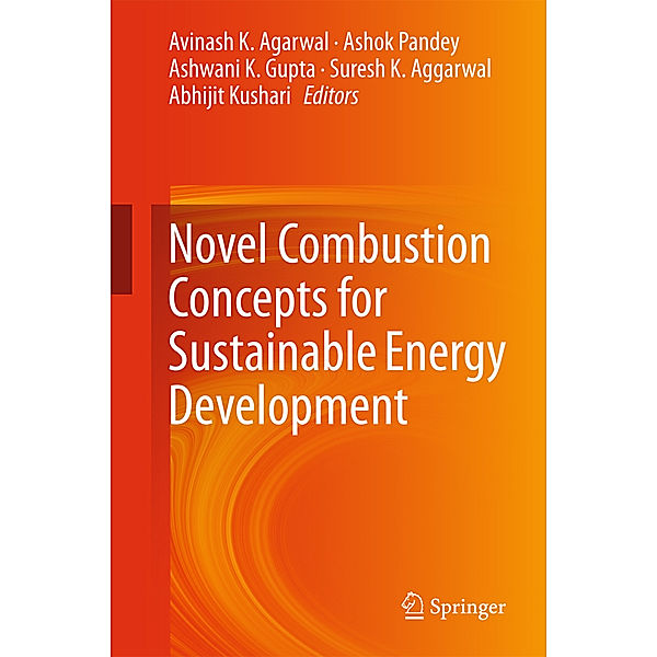 Novel Combustion Concepts for Sustainable Energy Development