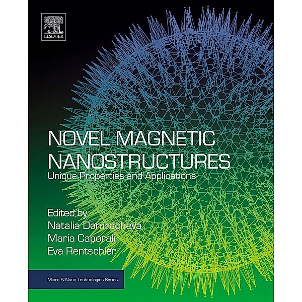 Novel Magnetic Nanostructures