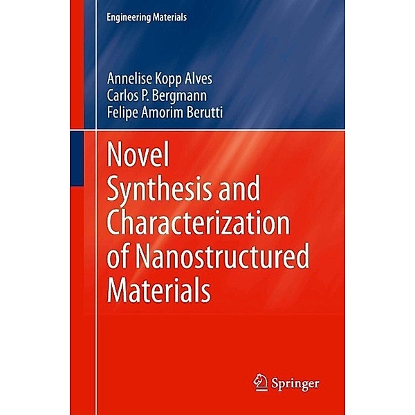 Novel Synthesis and Characterization of Nanostructured Materials / Engineering Materials, Annelise Kopp Alves, Carlos P. Bergmann, Felipe Amorim Berutti