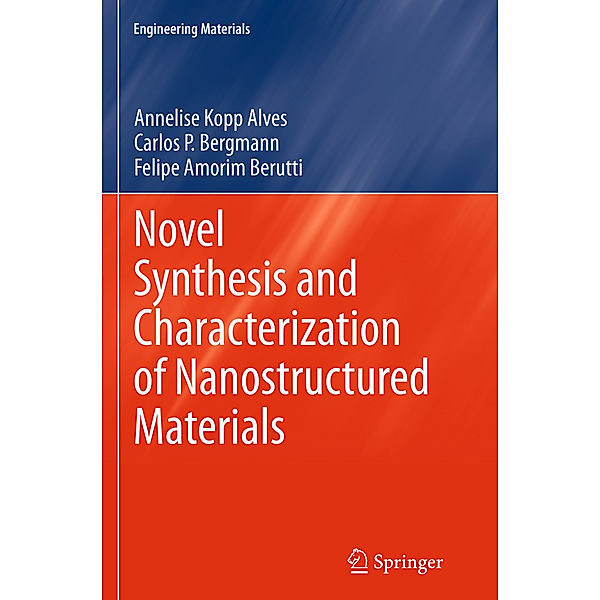 Novel Synthesis and Characterization of Nanostructured Materials, Annelise Kopp Alves, Carlos P Bergmann, Felipe Amorim Berutti