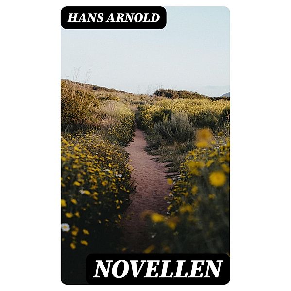 Novellen, Hans Arnold