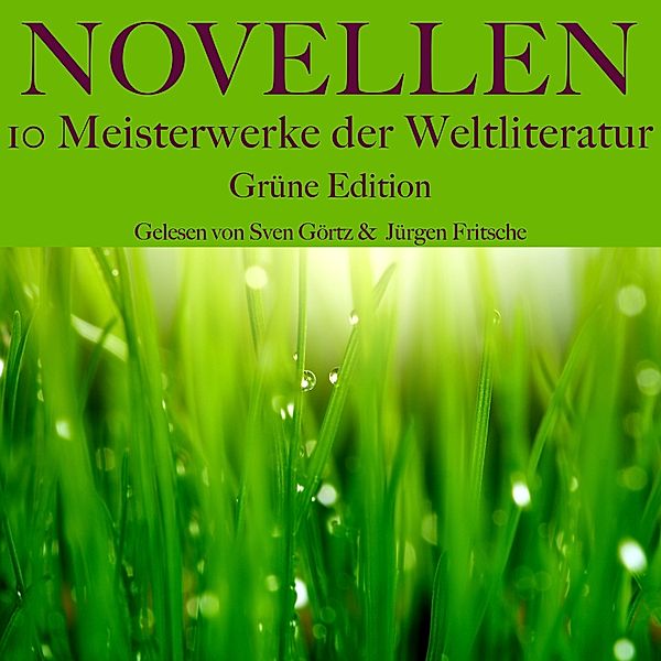 Novellen: Zehn Meisterwerke der Weltliteratur - 24 - Novellen: Zehn Meisterwerke der Weltliteratur, Leo Tolstoi, Arthur Schnitzler, Edgar Allan Poe, Stefan Zweig, Franz Kafka, Joseph Roth, Anton Tschechow, Honoré de Balzac, Heinrich von Kleist, Alexander Puschkin