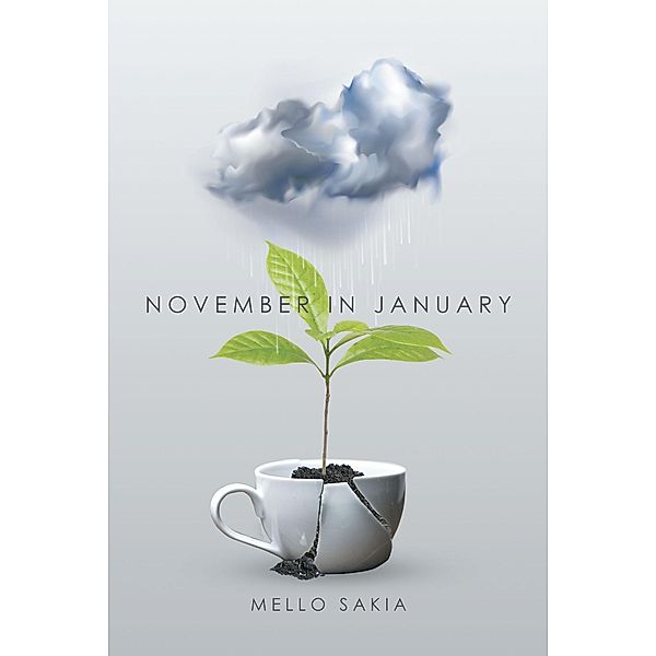November in January / Newman Springs Publishing, Inc., Mello Sakia