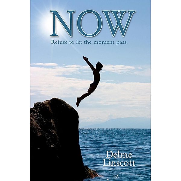 Now - Refuse to Let the Moment Pass, Delme Linscott