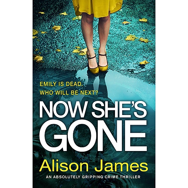 Now She's Gone / Detective Rachel Prince Bd.2, Alison James