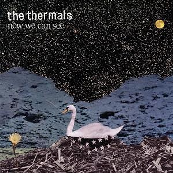 Now We Can See (Vinyl), Thermals